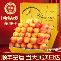 少羽黄金车厘子雷尼尔智利进口【多地次日达】大樱桃新鲜水果高端礼盒 (净重) 装 4J级 智利 车厘子 单果30-34mm-