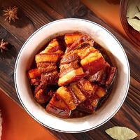 建磊红烧肉东坡肉熟食真空包装红烧五花肉加热即食smzdm 红烧肉 250g*1袋