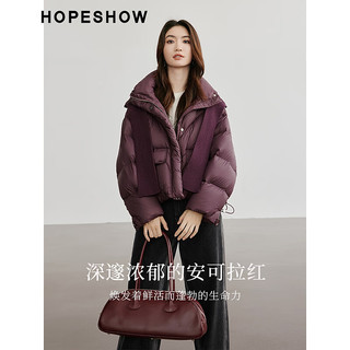 红袖小众保暖羽绒服冬季2024新款女装珩线落肩立领气质连帽面包服外套 194