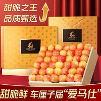 巧鲜滋果蔬雷尼尔黄金车厘子jjjj级智利【-多地次日达】黄樱桃水果礼盒 【更脆甜-金果王】4J级 12-15g 1斤【简装-量少】 净0.9斤