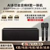 卡思诺AI蓝牙音响家庭KTV智能语音K歌点歌机音箱影视多功能一体机家用影院电脑电视功放声卡机 智能点歌K歌一体机+双无线话筒