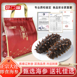 颐口福 大连鲜活即食海参 源头直发 1000g（30-40只/斤）超值 大礼包
