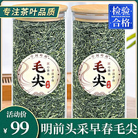 中闽峰州 茶叶毛尖茶明前特级嫩芽浓香绿茶罐装500g