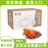 京觅 山东烟薯25号蜜薯 3斤 中果150g+