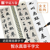 华夏万卷 智永真草千字文墨迹本毛笔字帖 草书近距离临帖卡临摹字卡 草书毛笔书法字帖活页 简体旁注 草书行草高清还原临帖练字帖