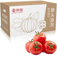 PLUS会员:京觅 山东普罗旺斯西红柿 净重5斤装 单果100g