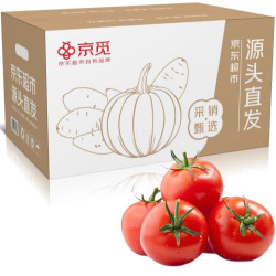 京觅 山东普罗旺斯西红柿 净重5斤装 单果100g