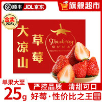 田拾记大凉山红颜草莓【JD/】非丹东99牛奶草莓水果新鲜年货节 2斤普通装【99%疯抢】 净重1.5斤 单果13-18g【80%人选】 果王(单果约25g+)