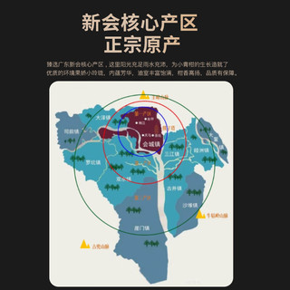 侨宝茶叶新会柑普洱茶小青柑陈皮普洱熟茶过年礼品年货送礼