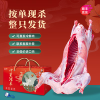 盐滩记羊肉新鲜宁夏滩羊半只羊整发现杀全羊整只乳羔羊生鲜年货礼盒清真 23斤整只乳羔羊【整只】
