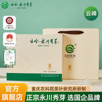 云岭茶业 永川秀芽明前绿茶 重庆茶叶(云峰)礼盒装250g中秋