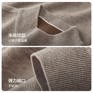 【羊毛】红豆毛衣男款抗菌抗静电秋冬可机洗加绒保暖半高领针织衫