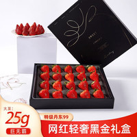 田拾记大凉山红颜草莓非丹东99牛奶草莓水果新鲜双十二 28枚丹东草莓黑金礼盒 单果18-23g【更大更甜】特大果(单果20-25g)