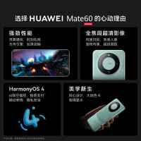 华为 HUAWEI Mate 60 手机 12GB+512GB 白沙银