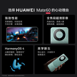 华为 HUAWEI Mate 60 手机 12GB+512GB 白沙银