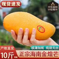 译优农海南三亚金煌芒果生鲜水果当季热带新鲜水仙大芒果甜心芒 净重5斤中果【单果200g+】