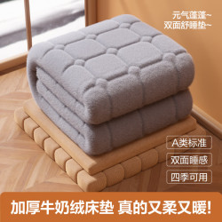 网易严选 A类双面舒睡床垫床褥  【牛奶绒双面】2.5cm厚 180*200cm