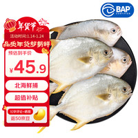 恒兴食品 北海原条金鲳鱼4条/净重共 BAP认证海鲜 年货送礼 源头直发