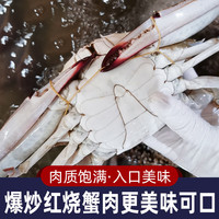 鲜喜利 梭子蟹鲜活野生舟山白蟹 3-5两/只