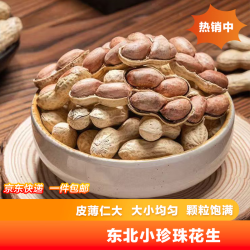 休闲零食东北小花生带壳核桃味蒜香味五香味原味酥脆即食花生 山核桃味东北吊炉花生 500g*1袋