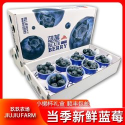 玖玖农场 云南蓝莓8杯当季新鲜国产蓝莓水果