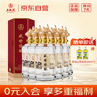 五粮液 WULIANGYE 股份出品 浓香型白酒 52度 500mL 6瓶 盛世佳酿 整箱装 婚礼宴席 商务送礼