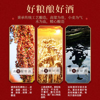 将军井 入口醇厚 浓香型白酒  40%vol-42%vol 包装 500ml
