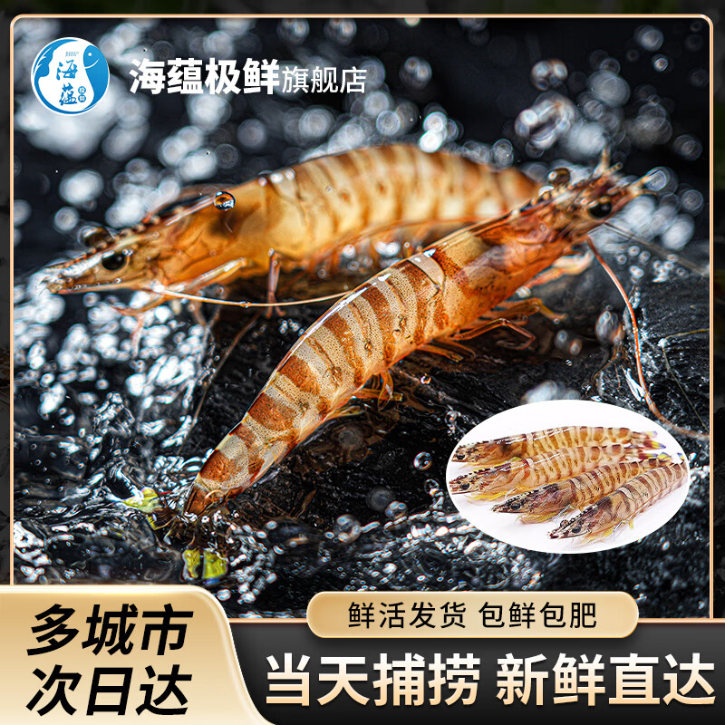 海蕴极鲜【活鲜】鲜活 九节虾花虾新鲜活虾烧烤食材年货送礼