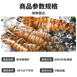 海蕴极鲜【活鲜】鲜活 九节虾花虾新鲜活虾烧烤食材年货送礼