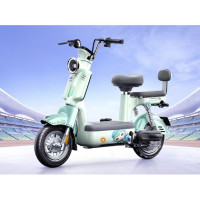 雅迪 冠能摩登新国标电动自行车