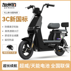 加州豹 JZBOO 新国标电动车48V20A电池约65-95公里