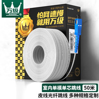 万级(OFNPFTTH)皮线光纤跳线电信级 SC-SC室内单模单芯 1芯2钢丝尾纤 低烟无卤网线光纤入户线50米2-192113
