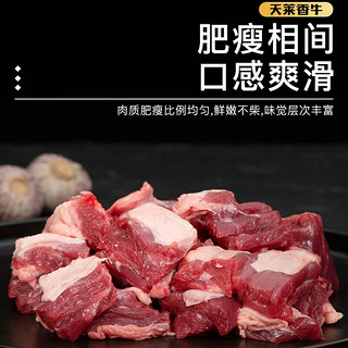 天莱香牛 新疆有机原切牛肉 牛腩腱子肋排小黄瓜条 谷饲生鲜 有机牛腩 1斤 有机牛腩 500g