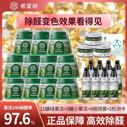 FULL OF HOPE小绿罐二代除甲醛车用新房急入住活性炭包吸去甲醛克星