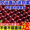 智利车厘子桑提娜JJJ级新鲜水果樱桃