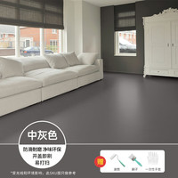 三青 水性地坪漆 水泥地家用 地面漆 耐磨防水划线漆室内外通用 中灰色【防水防滑耐磨】 【50㎡亮光】5kg底+10kg面+5kg清