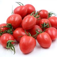 蹊蹊的小菜园 小番茄圣女果 农家酸甜 5斤