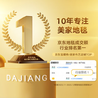 大江 DAJIANG厨房地垫防水防油可擦洗 厨房脚垫地面垫50x150cm 瑞贝卡50x150cm