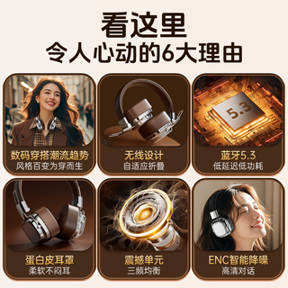 智国者 TD21 蓝牙降噪 银棕 头戴式耳机