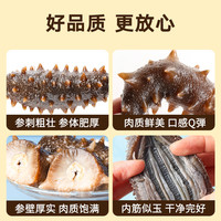 北京同仁堂冷冻即食海参1500g3斤大连辽参