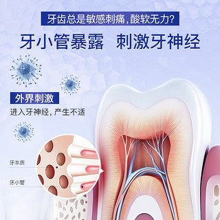 舒客卓效抗敏牙膏120g凝萃茉莉香型 根源抗敏含氟固齿8周持久防护 【根源抗敏修护】茉莉香型120g