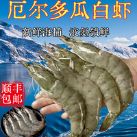  ANSON 厄瓜多尔白虾