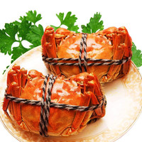 旭海 盘锦 河蟹 全母蟹 1.8-2.1两 10只 礼盒装