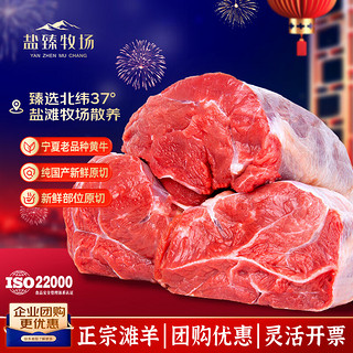 盐臻牧场 宁夏黄牛肉牛腱子礼盒  原切牛腱子生鲜 源头直发