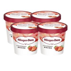 哈根达斯 H?agen·Dazs 冷饮冰淇淋巧克力草莓/香草法国进口雪糕批发包邮