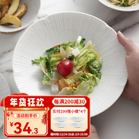 美浓烧(Mino Yaki)日系简约青白釉陶瓷盘子碟子餐具家用大盘进口水果盘牛排盘 【22.3*4.0cm】