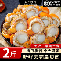 口水时代青岛大虾20/30 大号虾 青岛本土大虾 鲜活白虾海鲜生鲜 扇贝肉 1000g 【2斤】