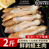 口水时代青岛大虾20/30 大号虾 青岛本土大虾 鲜活白虾海鲜生鲜 蛏子肉 1000g 【2斤】