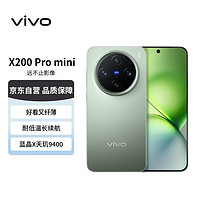 vivo X200 Pro mini 16GB+1TB 钛青 纤薄小直屏 蔡司超级长焦 蓝海电池 拍照 AI手机