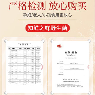知鲜之鲜见手青云南新鲜【空运次日达】红葱牛肝菌云南野生鸡枞菌 冰鲜冷冻精选红葱见手青 1000g 精选红葱见手青（zui香天花板）